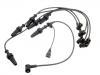 Ignition Wire Set:270525
