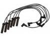 Ignition Wire Set:12173542