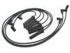 Ignition Wire Set:19170840